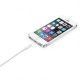 Apple Cable Lightning a USB 2 Metros