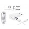 Samsung Cargador de Carga Rápida Micro USB 2A Blanco